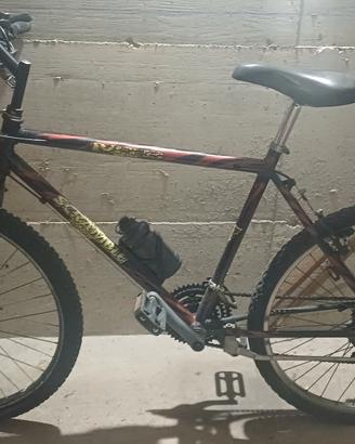 Bici uomo 26