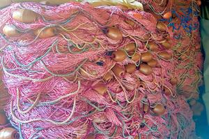 Rete professionale da pesca