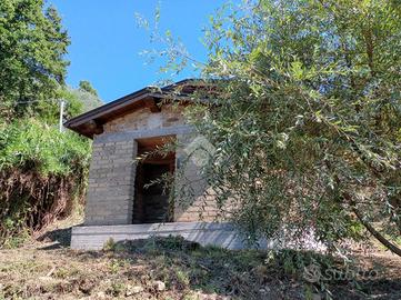 CASA INDIPENDENTE A OLEVANO ROMANO