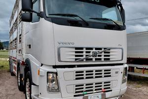 volvo 480 FH13 trasporto bestiame