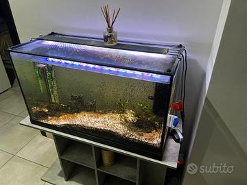 ACQUARIO