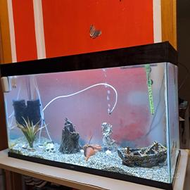 Acqario 300  litri...