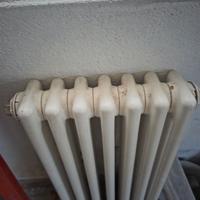 Due ZEHNDER Termosifoni Radiatore Charleston