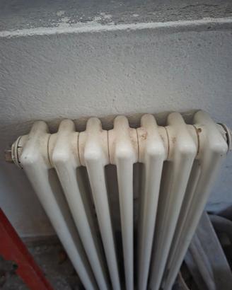 Due ZEHNDER Termosifoni Radiatore Charleston