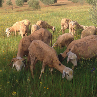 Assistenza anziani