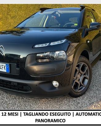 Citroen C4 Cactus BlueHDi 100 S&S ETG6 Shine
