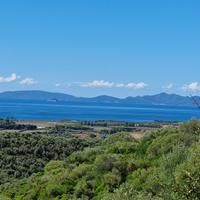 Terreno riotorto comune piombino