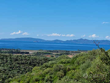 Terreno riotorto comune piombino