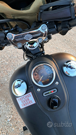 Vendita moto Harley davidson