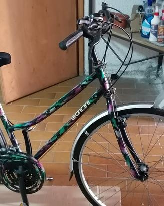 Bicicletta