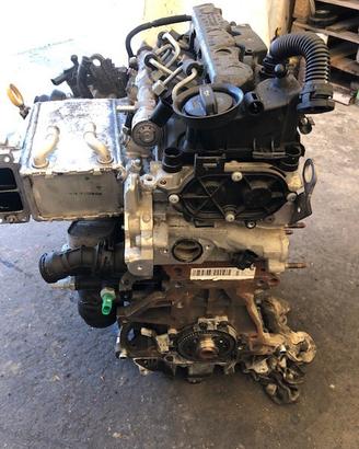 Motore vw golf 7 - 1.6 d - 2016 - dbk