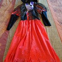 vestito di carnevale 