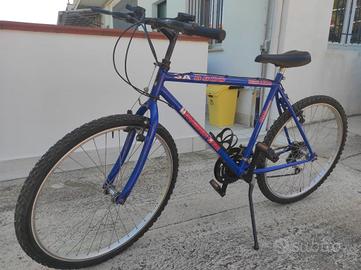 2 Bici  Mountain bike 