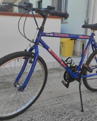 2 Bici  Mountain bike 