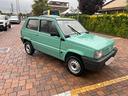 fiat-panda-1100-i-e-cat-young