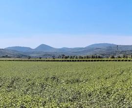 Terreno agricolo