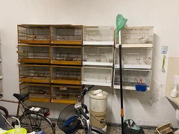 Gabbie e Voliere per Canarini