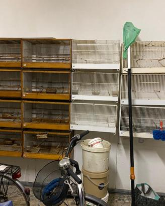 Gabbie e Voliere per Canarini