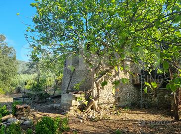Terreno Agricolo Sant'Oreste [Cod. rif 3338272VCG]