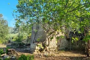 Terreno Agricolo Sant'Oreste [Cod. rif 3338272VCG]