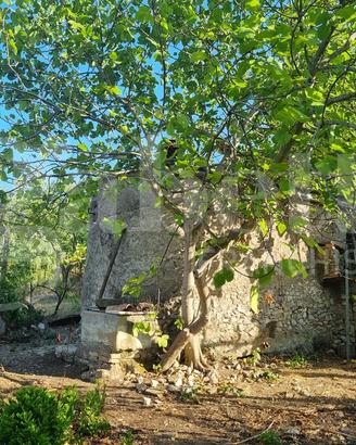Terreno Agricolo Sant'Oreste [Cod. rif 3338272VCG]