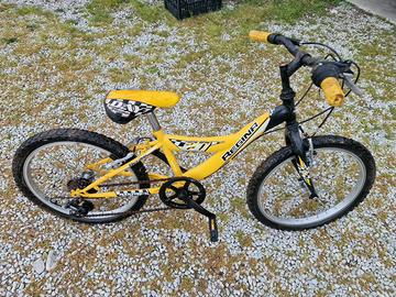 bici 20 pollici regina