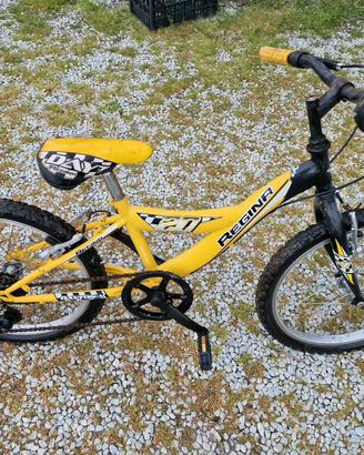 bici 20 pollici regina
