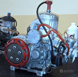 MOTORE TM KZ10C DA CORSA