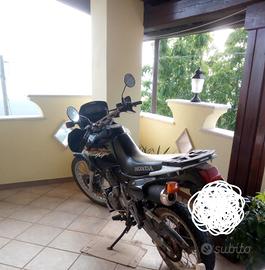 Honda dominator 650