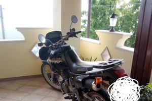 Honda dominator 650