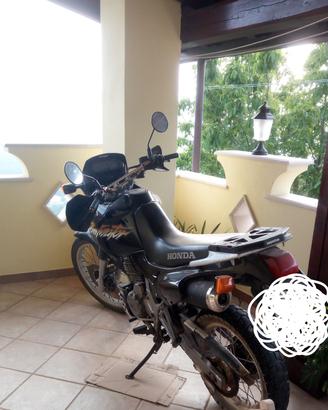 Honda dominator 650
