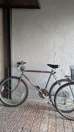 Bici da uomo