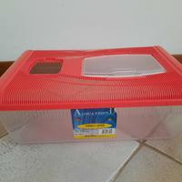 Terrario per tartarughe