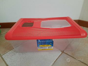 Terrario per tartarughe