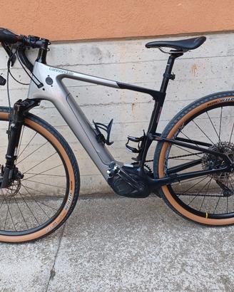 Bicicletta pedalata assistita 