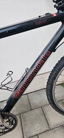 Bici Cannondaile MtB Uomo ruota da 26