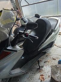 majesty 250