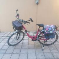 bici elettrica 