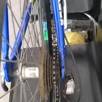 MOUNTAN BIKE KASTLE 205