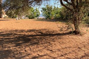 Terreno a Calascibetta