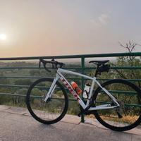 Trek Domane AL3