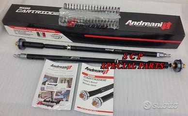 Bmw s 1000 xr cartucce forcella andreani