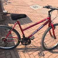 Mtb donna