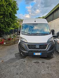 Fiat ducato maxi