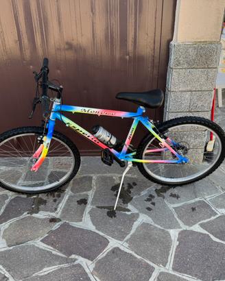 Mountain Bike Monviso 26