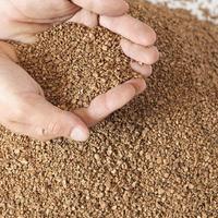 Nocciolino d'ulivo per caldaie 