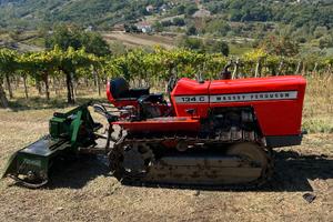 Trattore Massey Ferguson 134C e fresa