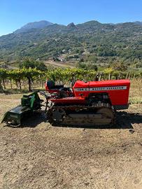 Trattore Massey Ferguson 134C e fresa