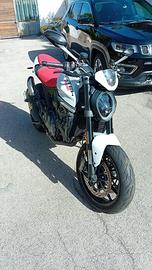 Ducati Monster 937 - 2023