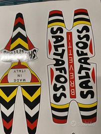 KIT ADESIVI COMPLETO BICI SALTAFOSS PRESERIE